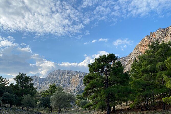 Small Group Hiking in Lindos - Price and Value: Why $48.06 Can Make Sense for a 6-Hour Day