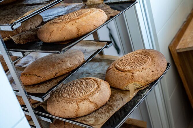 Tasting Rhodes: Cooking Class, Wine Tasting & more in an Authentic Greek village - Cooking Class: Tzatziki, Dolmadakia, and the Stuff You Actually Want to Recreate