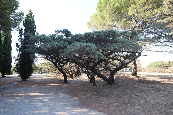 The Best of Rhodes & Lindos: Full Island Tour (Small Group) - Small Group Comfort: Why Max 15 Travelers Matters