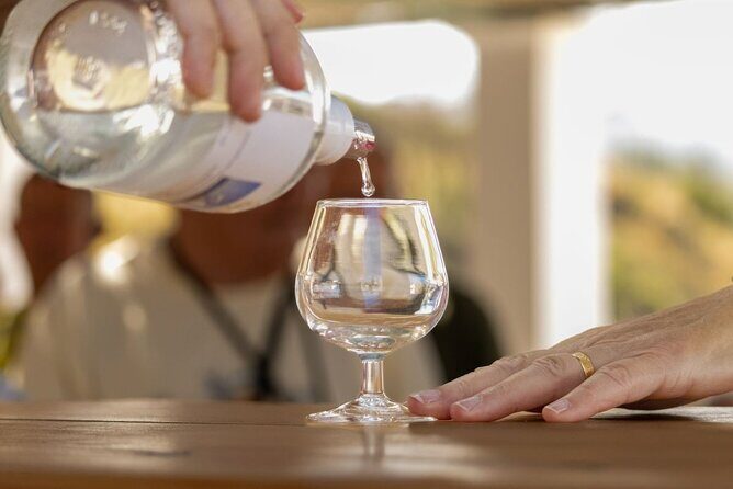 Traditional Greek COOKING class and Wine Tasting in Rhodes - Price and Value: Is $79.10 Worth It on Rhodes?