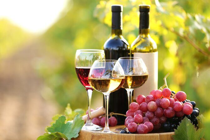 Vine & Dine Tale: 11-Plate Lunch, Wine Discovery, Cooking Mastery - Price and Logistics: What $89.07 Buys You in Real Terms