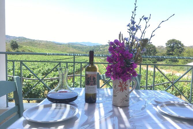 Winery Tour, Tasting and cooking with the Winemaker in Rhodes - Key Highlights Worth Marking on Your Map