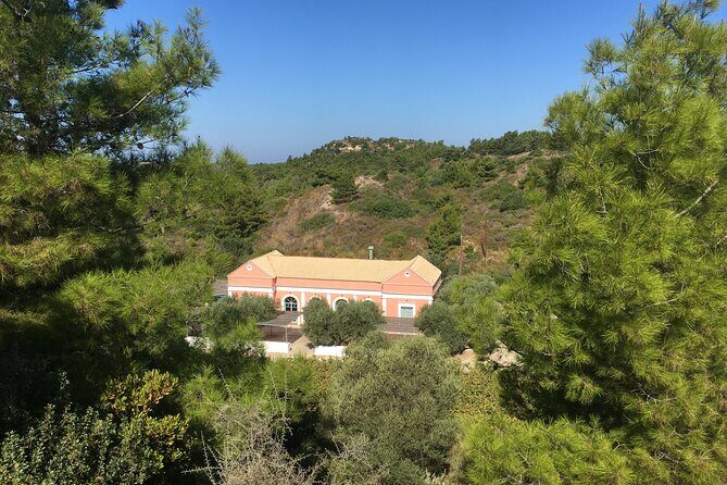 Winery Tour, Tasting and cooking with the Winemaker in Rhodes - The Mezedes Meal: Mostly Vegetarian and Built for Pairing